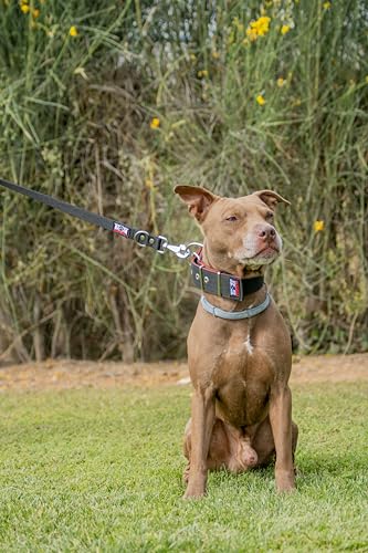 Hundehalsband Nylon (Schwarz, M2) von DidiProducts