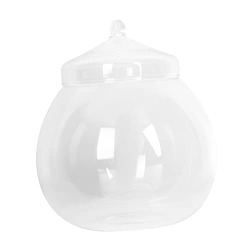 Didiseaon 1 Set Terrariumflasche Für Den Innenbereich Sukkulentenpflanzen Moosglas Terrariumschale Mit Deckel Heimdekor Für Den Außenbereich Terrariumglasbehälter Terrarium Mit von Didiseaon