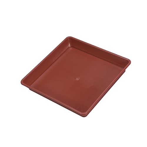 Didiseaon 10 Stück Kunststoff Chassis Quadratische Halterschalen Blumentopf Basis Für Den Innenbereich Pflanzenzubehör Drainage Pflanzkästen Für Den Außenbereich Gartenpflanzgefäße Für Didiseaon 10 Stück Kunststoff Chassis Quadratische Halterschalen Blumentopf Basis Für Den Innenbereich Pflanzenzubehör Drainage Pflanzkästen Für Den Außenbereich Gartenpflanzgefäße Für von Didiseaon