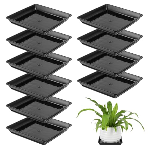Didiseaon 10 Stück Plastik -Chassis Keramik-tablett Drinnen Dekorativ Wachsend Pflanzenschale Quadratisches Pflanztablett Zimmerpflanzen Pflanzschale Quadratisch Pflanzentopfsaucer Black Didiseaon 10 Stück Plastik -Chassis Keramik-tablett Drinnen Dekorativ Wachsend Pflanzenschale Quadratisches Pflanztablett Zimmerpflanzen Pflanzschale Quadratisch Pflanzentopfsaucer Black von Didiseaon