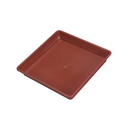 Didiseaon 10 Stück Plastik -Chassis blumenkübel untersetzer blumentopfuntersetzer Pflanzentopf Zubehör Tabletts Trog zimmerpflanzen quadratische Untertasse Topfschalen für Pflanzen rot Didiseaon 10 Stück Plastik -Chassis blumenkübel untersetzer blumentopfuntersetzer Pflanzentopf Zubehör Tabletts Trog zimmerpflanzen quadratische Untertasse Topfschalen für Pflanzen rot von Didiseaon