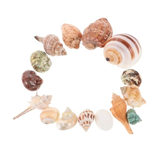 Didiseaon 15 Stück Teiliges Bunter Muscheln für Aquarien Hochwertige Dekoration für Fischbehälter Zubehör für DIY Projekte und Strand Themen Arrangements von Didiseaon