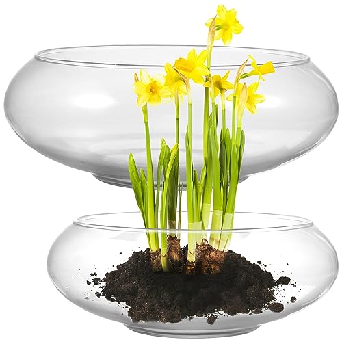 Didiseaon 2 STK Klare Seifenblasenschale Klare Blumenvase Dekor Terrarium Pflanzentopf -blumentopf Schwimmende Kerzenhalter Fishbowl-gläser Bubble-Ball-vase Runde Pack Glas Aquarium von Didiseaon