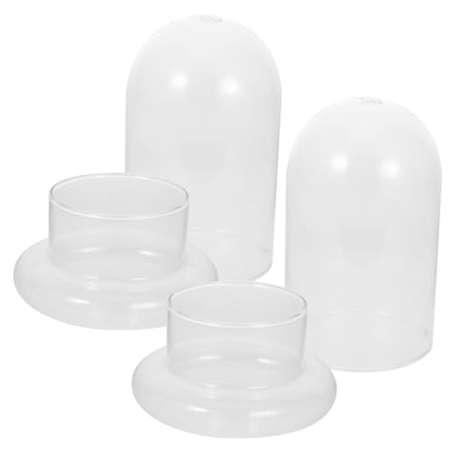 Didiseaon 2 Stück Ökologische Flasche Moss Cloche-Terrarium saftige Glasglocke bescherung Weihnachten geldgeschenke Weihnachten Moos Mikrolandschaftsglas Glas Hydrokultur-Ökosystemflasche von Didiseaon
