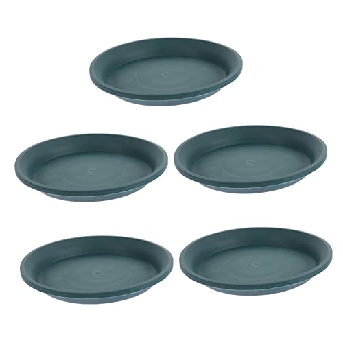 Didiseaon 5 Stück Teiliges Blumentopfuntersetzer wasserdichte Pflanzenschalen für Innen und Außengebrauch Langlebig und Praktisch für Sichere Pflanzenpflege Didiseaon 5 Stück Teiliges Blumentopfuntersetzer wasserdichte Pflanzenschalen für Innen und Außengebrauch Langlebig und Praktisch für Sichere Pflanzenpflege von Didiseaon