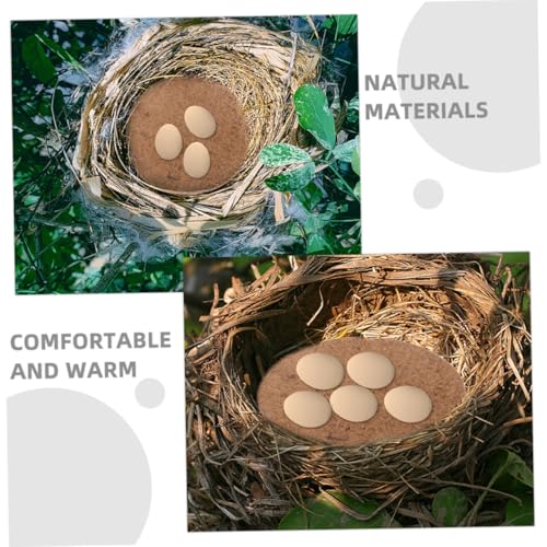Didiseaon 8 Stück Teiliges Natürliche Kokosfaser Taubennestmatten Atmungsaktiv Feuchtigkeitsbeständig Weiche Brutunterlage für Kleine Vögel Pigeon House Nestpads Langlebig und Komfortabel von Didiseaon
