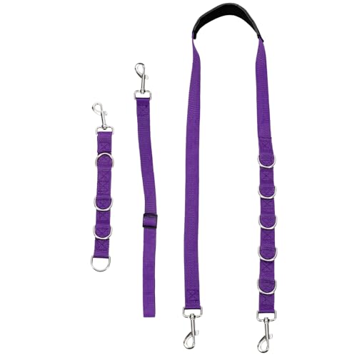 Didiseaon Fellpflegeseil für Haustiere, 3 Stück, Haustierpflege-Zubehör, Gürtel, Abschleppgurt, Fellpflege, Tischzubehör, Haustier-Badeleine, Kosmetik, das Hunde-Set, dreiteiliges Anzugzubehör, Lila von Didiseaon