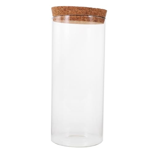 Didiseaon Glas Terrarium mit Korkverschluss Hohe DIY Pflanzflasche für Moos und Sukkulenten Transparenter Landschaftsbehälter für und Gartendekoration von Didiseaon