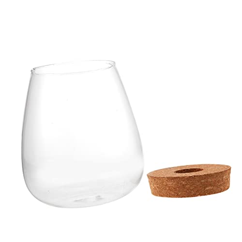 Didiseaon Hydroponische Pflanzenflasche Terrariumglas Klare Vase Sukkulenten Pflanzgefäße Blumen Terrarium Hydroponische Kultur Glasflasche Terrariumflasche Wasserblumenbehälter von Didiseaon