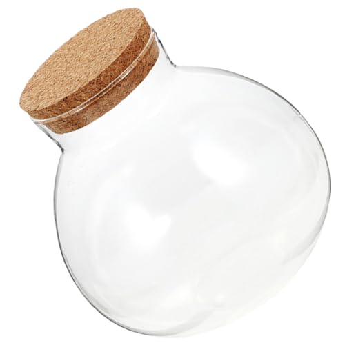 Didiseaon Micro Landschaft Ökoflasche Glasflasche mit Korken für Moos Terrarium Desktop Dekoration und Transparent für Wohn und Arbeitsräume Didiseaon Micro Landschaft Ökoflasche Glasflasche mit Korken für Moos Terrarium Desktop Dekoration und Transparent für Wohn und Arbeitsräume von Didiseaon