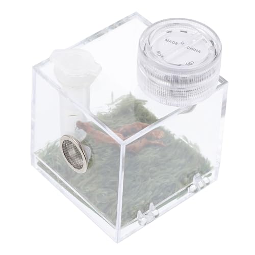 Didiseaon Spinnen Habitat Box mit Futteröffnung Tragbare Lebensraum Transportbox für Spinnen mit Integrierter Lampe Leicht und Kompakt für Außenbereich von Didiseaon