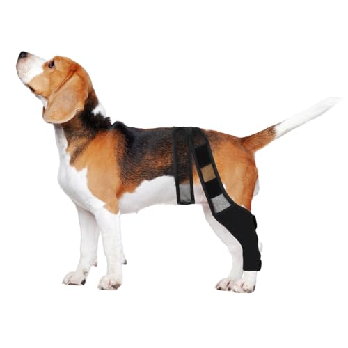 Didiseaon Verstellbare Hundebeinschiene mit Elastischem Klettband Atmungsaktiv und Komfortabel Schutz und Unterstützung für Verletzte Vorder Hinterbeine Geeignet für Welpen und Erwachsene von Didiseaon