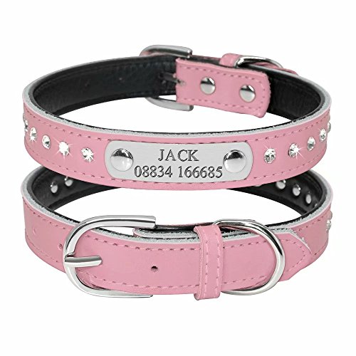 Didog Glitzerndes gepolstertes Hundehalsband mit graviertem Namensschild, personalisierbares Lederhalsband für kleine, mittelgroße Hunde und Katzen, Pink, Größe S von Didog