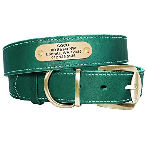 Didog Hundehalsband aus echtem Leder mit graviertem Namensschild, personalisierbar, weiches Leder, Hundehalsband mit individuellem ID-Etikett, braun/grün/rot für mittelgroße Hunde von Didog