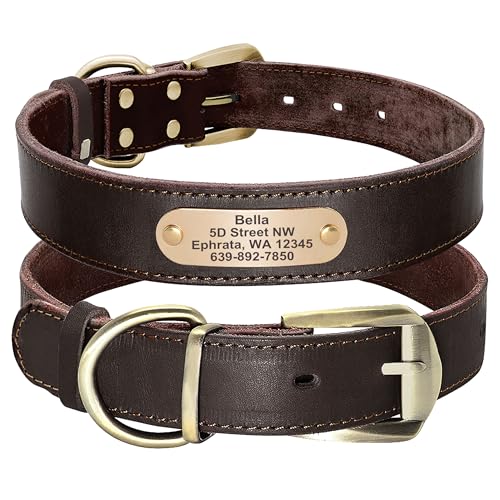 Didog Hundehalsband aus echtem Leder mit graviertem Namensschild, personalisierbar, weiches Leder, Hundehalsband mit individuellem ID-Etikett, braun/grün/rot für mittelgroße Hunde von Didog