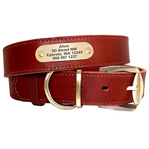 Didog Hundehalsband aus echtem Leder mit graviertem Namensschild, personalisierbar, weiches Leder, Hundehalsband mit individuellem ID-Etikett, braun/grün/rot für mittelgroße Hunde von Didog