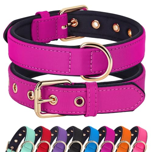 Didog Hundehalsband mit weicher Polsterung, Starke Hundehalsbänder mit Metallschnalle, leichte und atmungsaktive Hundehalsbänder für kleine Hunde,Hot Pink,S Didog Hundehalsband mit weicher Polsterung, Starke Hundehalsbänder mit Metallschnalle, leichte und atmungsaktive Hundehalsbänder für kleine Hunde,Hot Pink,S von Didog