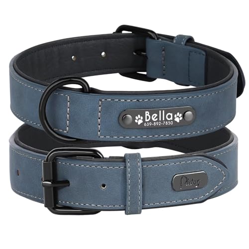 Didog Hundehalsband, weiches, gepolstertes, Leder, mit personalisierbarem, graviertem Namensschild, D-Ring. Für kleine und mittelgroße Hunde geeignet. von Didog