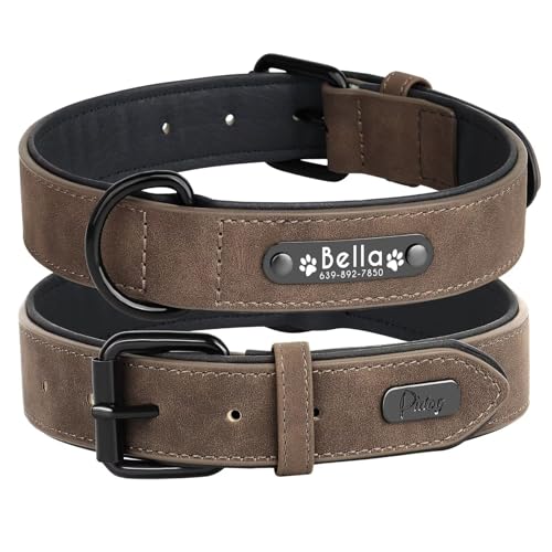 Didog Hundehalsband, weiches, gepolstertes, Leder, mit personalisierbarem, graviertem Namensschild, D-Ring. Für kleine und mittelgroße Hunde geeignet. Didog Hundehalsband, weiches, gepolstertes, Leder, mit personalisierbarem, graviertem Namensschild, D-Ring. Für kleine und mittelgroße Hunde geeignet. von Didog