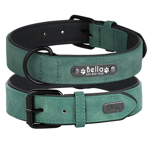 Didog Hundehalsband, weiches, gepolstertes, Leder, mit personalisierbarem, graviertem Namensschild, D-Ring. Für kleine und mittelgroße Hunde geeignet. Didog Hundehalsband, weiches, gepolstertes, Leder, mit personalisierbarem, graviertem Namensschild, D-Ring. Für kleine und mittelgroße Hunde geeignet. von Didog