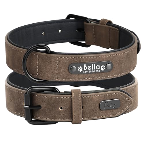 Didog Hundehalsband, weiches, gepolstertes, Leder, mit personalisierbarem, graviertem Namensschild, D-Ring. Für kleine und mittelgroße Hunde geeignet. Didog Hundehalsband, weiches, gepolstertes, Leder, mit personalisierbarem, graviertem Namensschild, D-Ring. Für kleine und mittelgroße Hunde geeignet. von Didog
