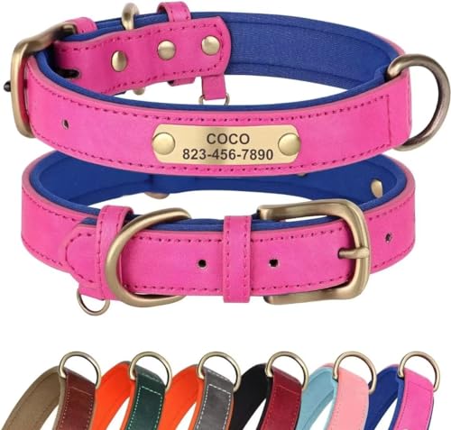 Didog Hundehalsband aus Leder, personalisiert für kleine, mittelgroße und große Hunde, weich gepolstertes Leder-Hundehalsband, strapazierfähig mit graviertem Namensschild, Hot Pink, L von Didog