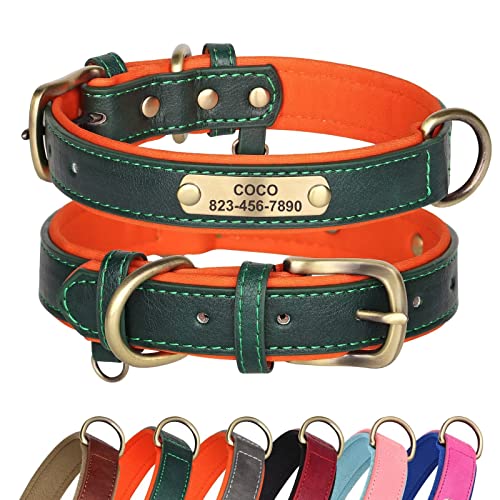 Didog Hundehalsband aus Leder, personalisiert für kleine, mittelgroße und große Hunde, weich gepolstertes Leder-Hundehalsband, strapazierfähig mit graviertem Namensschild, grün, XS von Didog