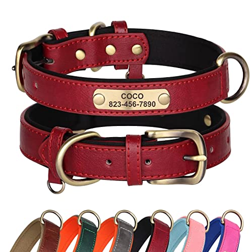 Didog Hundehalsband aus Leder, personalisiert für kleine, mittelgroße und große Hunde, weich gepolstertes Leder-Hundehalsband, strapazierfähig mit graviertem Namensschild, rot, L von Didog