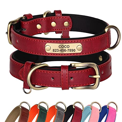 Didog Hundehalsband aus Leder, personalisierbar für kleine, mittelgroße und große Hunde, weich gepolstert, strapazierfähig, mit graviertem Namensschild, Rot, Größe XS Didog Hundehalsband aus Leder, personalisierbar für kleine, mittelgroße und große Hunde, weich gepolstert, strapazierfähig, mit graviertem Namensschild, Rot, Größe XS von Didog