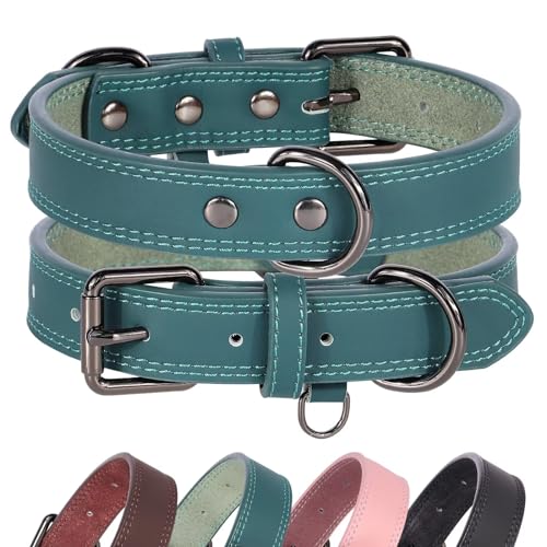 Didog Hundehalsband aus echtem Leder, langlebig, weich, strapazierfähig, mit Doppel-D-Ringen, verstellbares Hundehalsband aus Leder mit Metallschnalle für mittelgroße und große Hunde, Grün, L Didog Hundehalsband aus echtem Leder, langlebig, weich, strapazierfähig, mit Doppel-D-Ringen, verstellbares Hundehalsband aus Leder mit Metallschnalle für mittelgroße und große Hunde, Grün, L von Didog