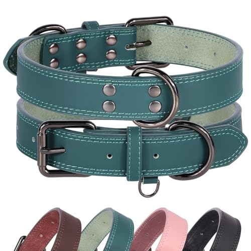 Didog Hundehalsband aus echtem Leder, langlebig, weich, strapazierfähig, mit Doppel-D-Ringen, verstellbares Hundehalsband aus Leder mit Metallschnalle für mittelgroße und große Hunde, Grün, XL Didog Hundehalsband aus echtem Leder, langlebig, weich, strapazierfähig, mit Doppel-D-Ringen, verstellbares Hundehalsband aus Leder mit Metallschnalle für mittelgroße und große Hunde, Grün, XL von Didog