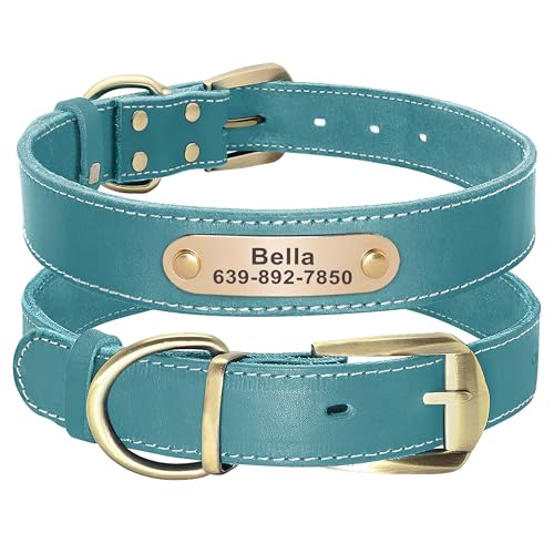 Didog Hundehalsband aus echtem Leder mit graviertem Namensschild, personalisierbar, weiches Leder, mit individuellem ID-Tag, Braun/Grün/Rot für kleine Hunde (S, Blau) von Didog