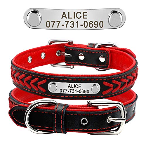 Didog Hundehalsband aus geflochtenem Leder, mit Gravur und personalisiertem Namensschild für kleine, mittelgroße und große Hunde, Rot, Größe XL von Didog