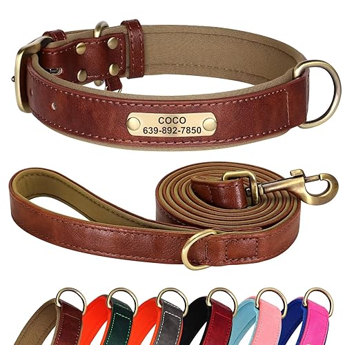 Didog Hundehalsband und Leine, aus Leder, für kleine, mittelgroße und große Hunde, 1,5 m, weich gepolsterte Leine, robustes Halsband mit graviertem Namensschild, Braun, Größe XL von Didog