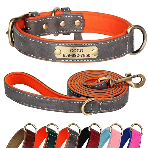 Didog Hundehalsband und Leine, Set aus Leder, für kleine, mittelgroße und große Hunde, 1,5 m, weich gepolsterte Leder-Hundeleine und Halsband, robuste Hundehalsband aus Leder mit graviertem von Didog