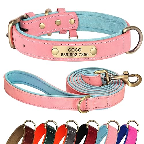 Didog Hundehalsband und Leine, Set aus Leder, für kleine, mittelgroße und große Hunde, 1,5 m, weich gepolsterte Leder-Hundeleine und Halsband, robuste Hundehalsband aus Leder mit graviertem von Didog