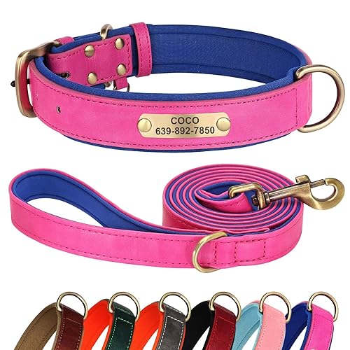 Didog Hundehalsband und Leine, Set aus Leder für kleine, mittelgroße und große Hunde, 1,5 m, weich gepolsterte Hundeleine und Halsband, strapazierfähiges Hundehalsband aus Leder mit graviertem von Didog