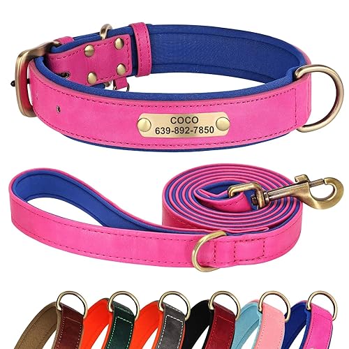 Didog Hundehalsband und Leine, Set aus Leder, für kleine, mittelgroße und große Hunde, 1,5 m, weich gepolsterte Leder-Hundeleine und Halsband, robuste Hundehalsband aus Leder mit graviertem von Didog