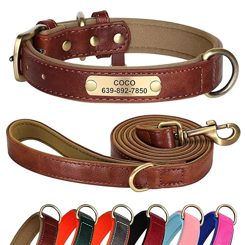 Didog Hundehalsband und Leine, Set aus Leder, für kleine, mittelgroße und große Hunde, 1,5 m, weich gepolsterte Leder-Hundeleine und Halsband, robuste Hundehalsband aus Leder mit graviertem von Didog