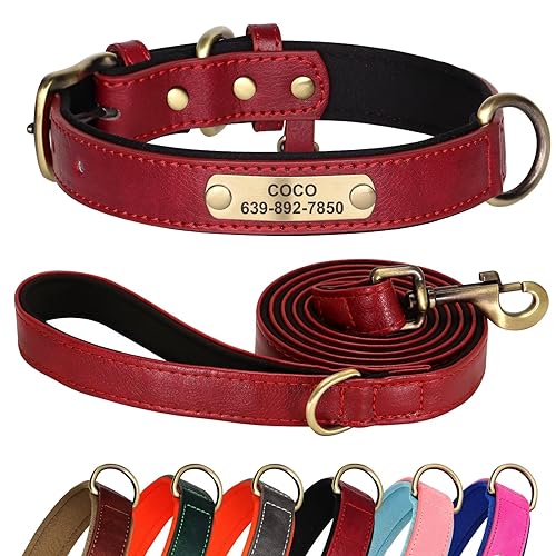Didog Hundehalsband und Leine, aus Leder, für kleine, mittelgroße und große Hunde, 1,5 m, weich gepolsterte Leine, robustes Halsband mit graviertem Namensschild, Rot, Größe M von Didog