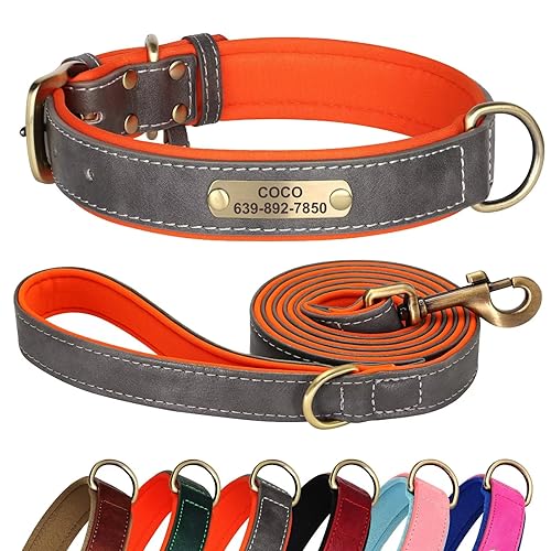 Didog Hundehalsband und Leine, Set aus Leder, für kleine, mittelgroße und große Hunde, 1,5 m, weich gepolsterte Leder-Hundeleine und Halsband, robuste Hundehalsband aus Leder mit graviertem von Didog