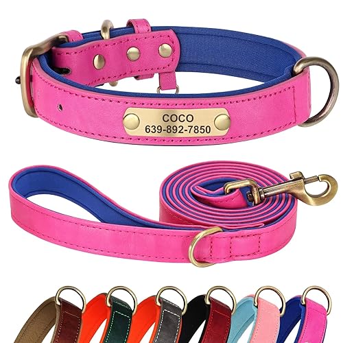 Didog Hundehalsband und Leine, Set aus Leder, für kleine, mittelgroße und große Hunde, 1,5 m, weich gepolsterte Leder-Hundeleine und Halsband, robuste Hundehalsband aus Leder mit graviertem von Didog