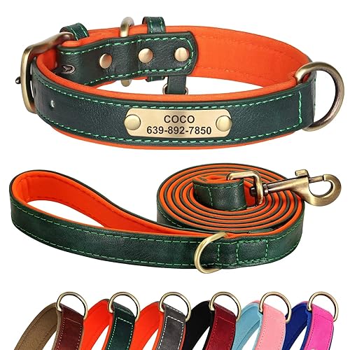 Didog Hundehalsband und Leine Set aus Leder für Kleine, Mittelgroße und Große Hunde - 1,5 m Weich Gepolsterte Hundeleine und Strapazierfähiges Halsband mit Gravur von Didog