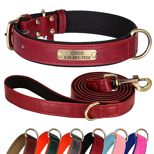 Didog Hundehalsband und Leine, Set aus Leder, für kleine, mittelgroße und große Hunde, 1,5 m, weich gepolsterte Leder-Hundeleine und Halsband, robuste Hundehalsband aus Leder mit graviertem von Didog