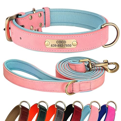 Didog Hundehalsband und Leine, Set aus Leder für kleine, mittelgroße und große Hunde, 1,5 m, weich gepolsterte Leder-Hundeleine und Halsband, strapazierfähiges Hundehalsband mit graviertem von Didog