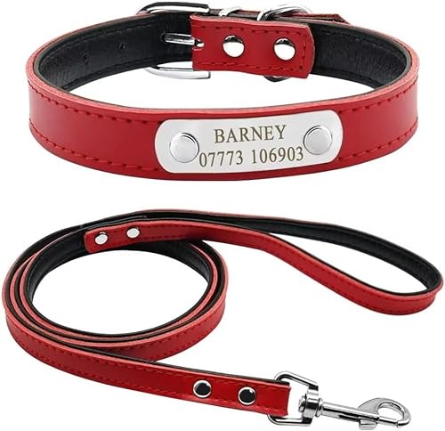 Didog Hundehalsband und Leine, weiches Leder, gepolstert, mit personalisiertem Namensschild, passend für kleine und mittelgroße Hunde, Rot, Größe S von Didog