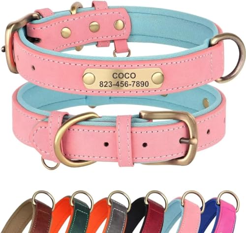 Didog Leder-Hundehalsband, personalisiert für kleine, mittelgroße und große Hunde, weich gepolstertes Leder-Hundehalsband, strapazierfähig, mit graviertem Namensschild, Rosa, L von Didog