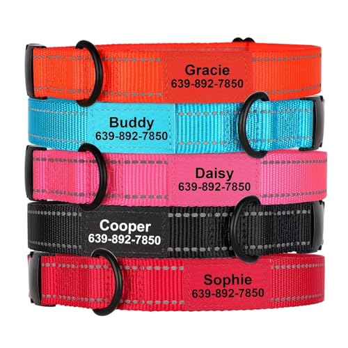 Didog Personalisierte Hundehalsbänder, Reflektierendes Nylon-Hundehalsband Angepasst mit Kosenamen und Telefonnummer, Verstellbare Hundehalsbänder für kleine, mittelgroße und große Hunde, Rot, XS von Didog