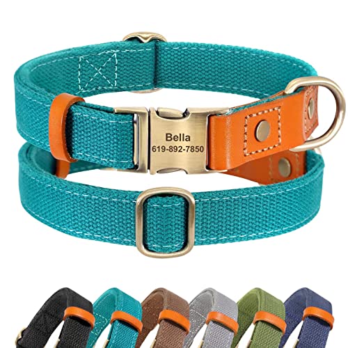 Didog Personalisierte Hundehalsbänder für kleine, mittelgroße und große Hunde, langlebige Hundehalsbänder, verstellbar mit gravierter Metallschnalle, blaugrün, Größe S von Didog