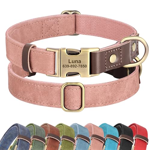 Didog Personalisiertes Hundehalsband aus Leder, weich, langlebig, benutzerdefinierte Hundehalsbänder, verstellbares Hundehalsband mit Namensschild und Schnellverschluss-Metallschnalle für kleine Didog Personalisiertes Hundehalsband aus Leder, weich, langlebig, benutzerdefinierte Hundehalsbänder, verstellbares Hundehalsband mit Namensschild und Schnellverschluss-Metallschnalle für kleine von Didog